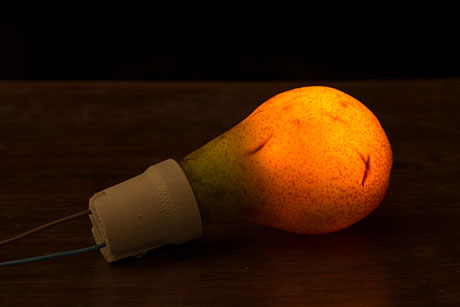 PP-Pear-light-bulb-460